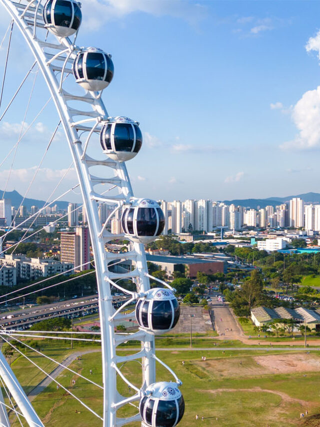 Roda Gigante de São Paulo, gratuita para mamães